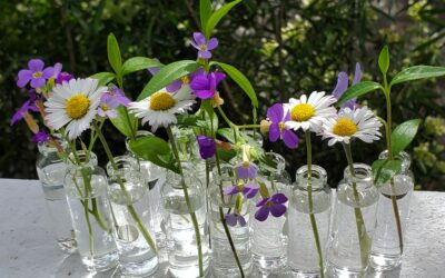 Mini fleurs de Printemps dans mini vases
