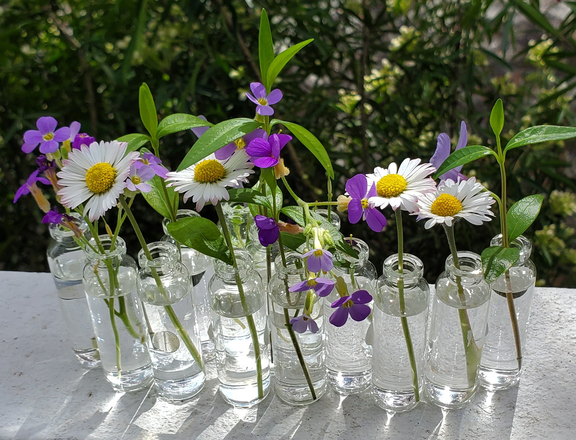 Art floral: fleurs d'Avril