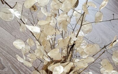 Bouquet de monnaies du pape