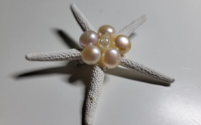 Broche étoile de mer
