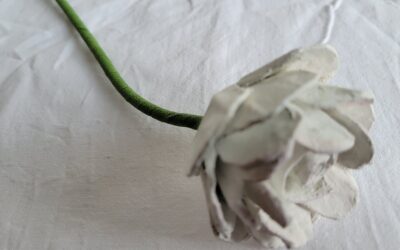 Rose en boite à oeufs