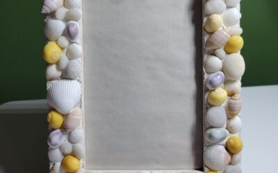 Coquillages sur cadre