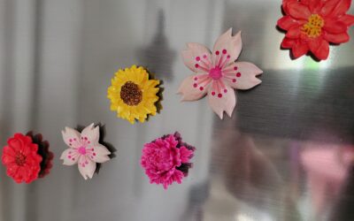Fleurs magnets