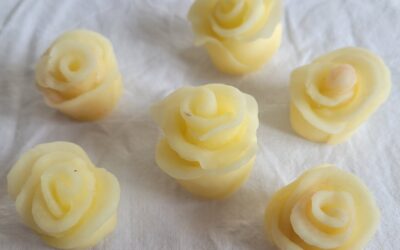 Roses en porcelaine froide