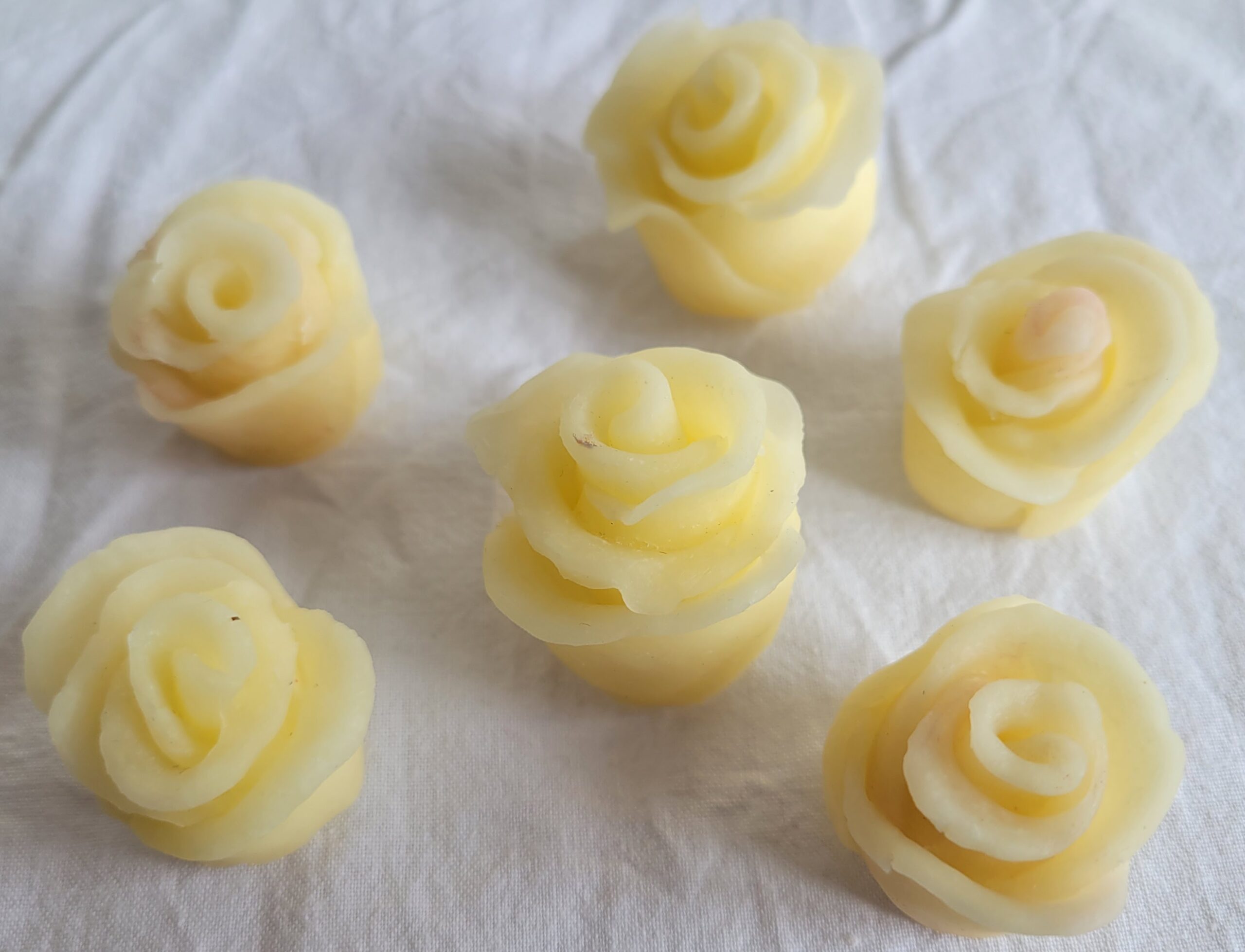 Modelage-roses en porcelaine froide