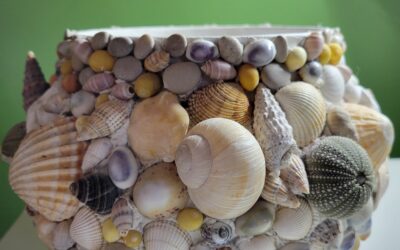 Coquillages sur cache pot