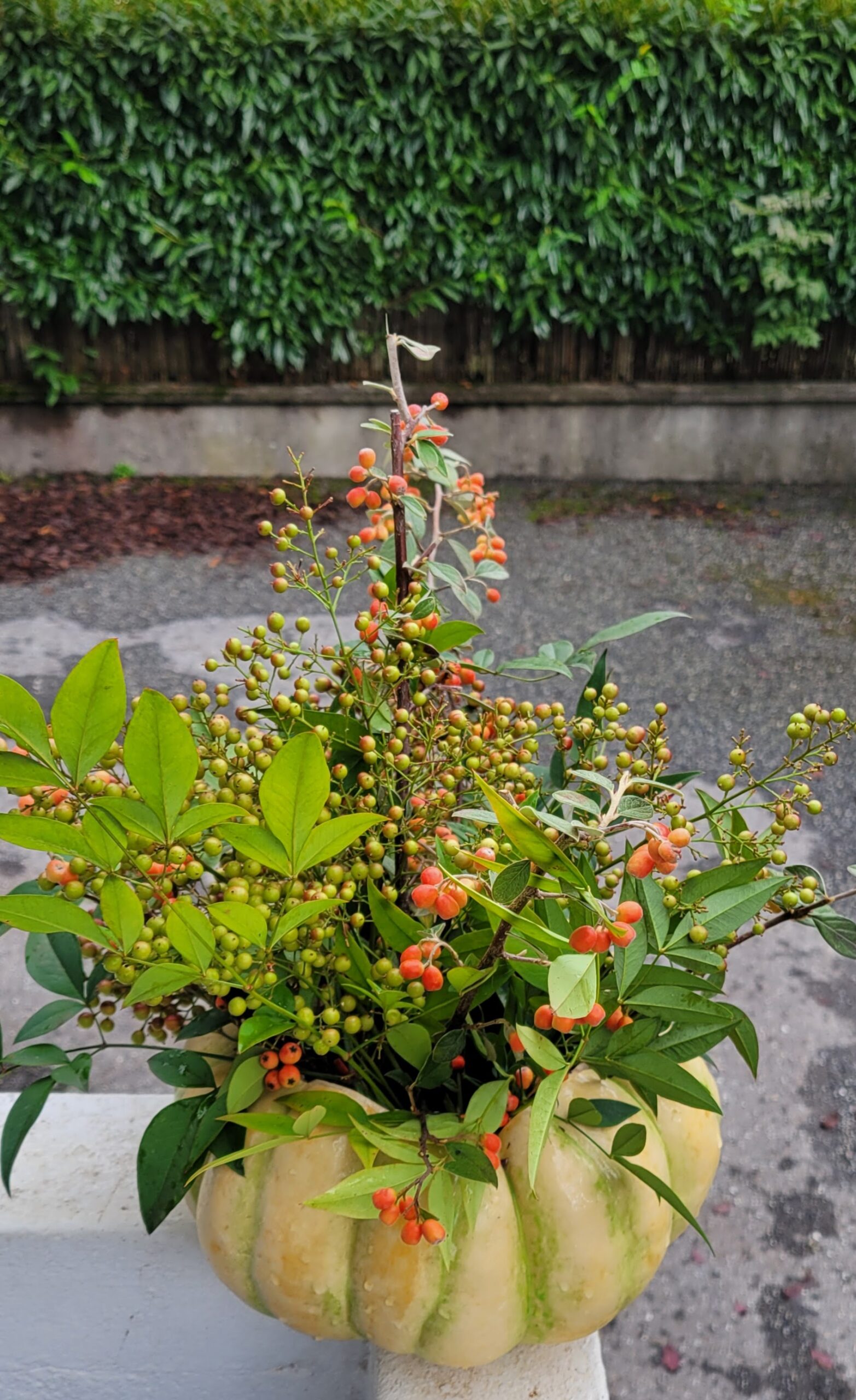 Art floral-baies rouges sur citrouille