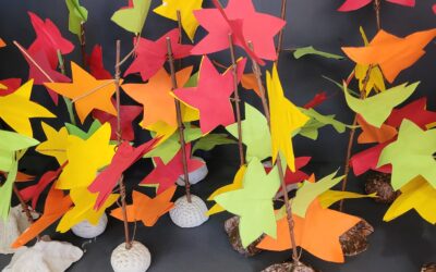 Liquidambar: symbole de l’automne