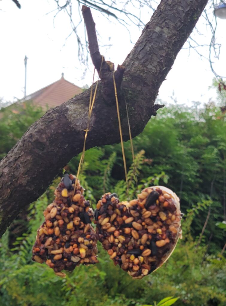 Moulage-repas des oiseaux