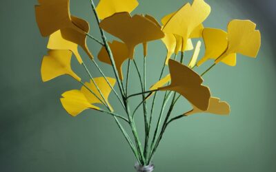 Symbole de l’automne : le gingko biloba