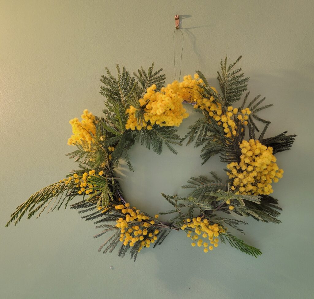 Art floral- Couronne de mimosa