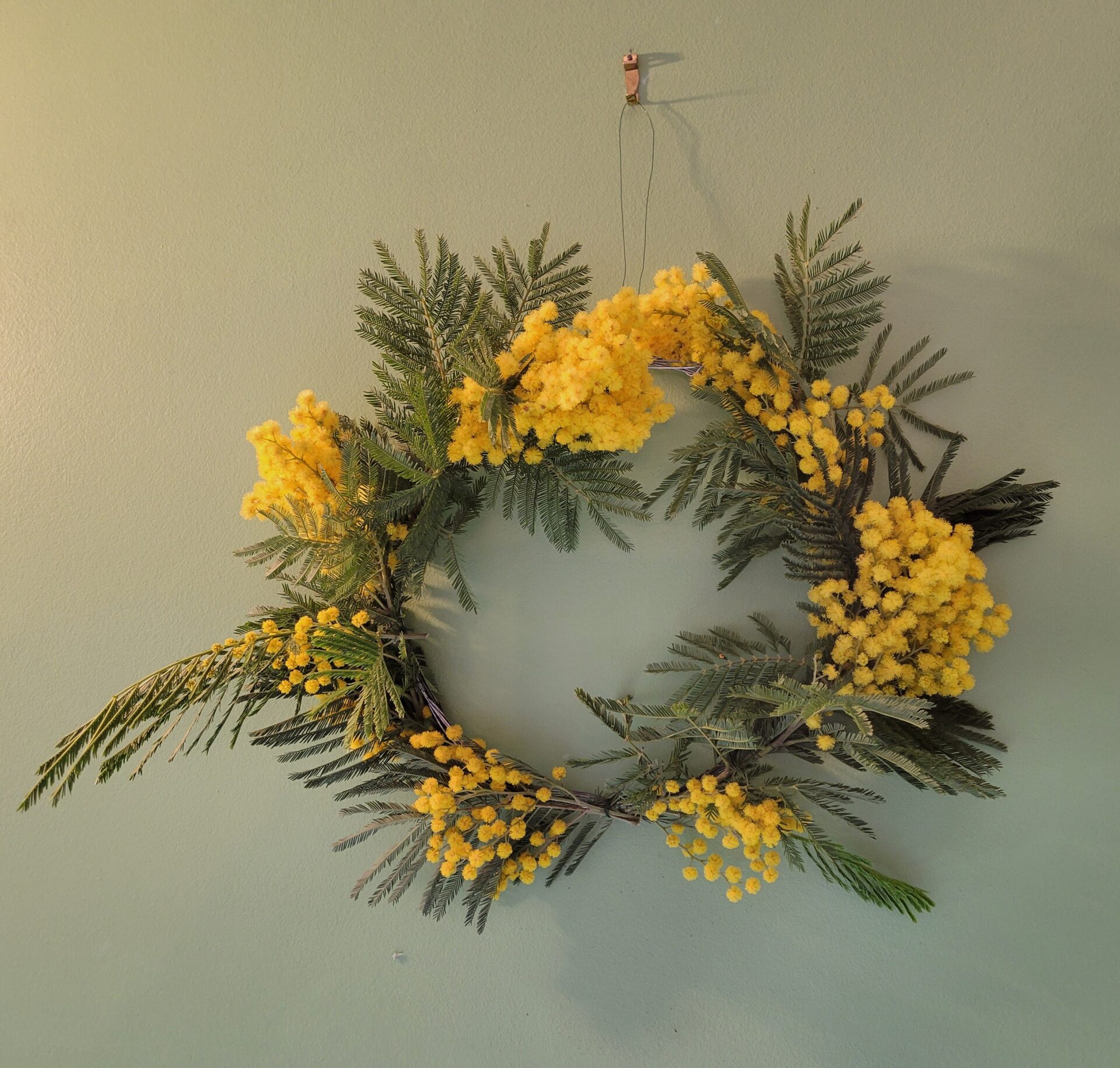 Art floral- Couronne de mimosa