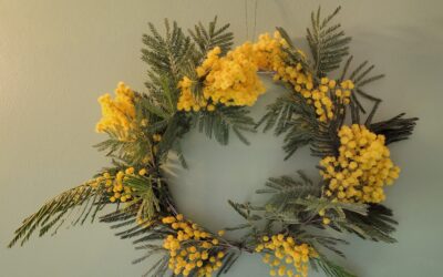 Couronne de mimosa