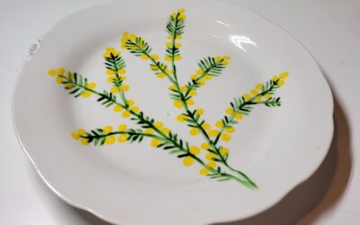 Mimosa sur assiette