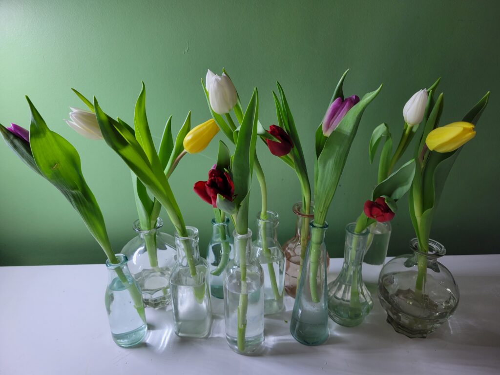 Art floral- Tulipes en soliflores
