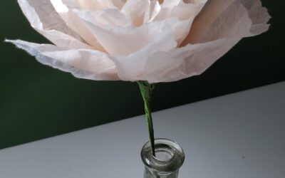 Pivoine en papier de soie