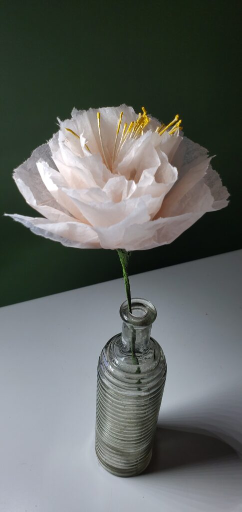 Papier-pivoine Papier- Pivoine en papier de soie