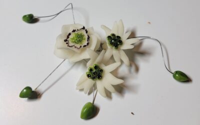 Edelweiss en broche