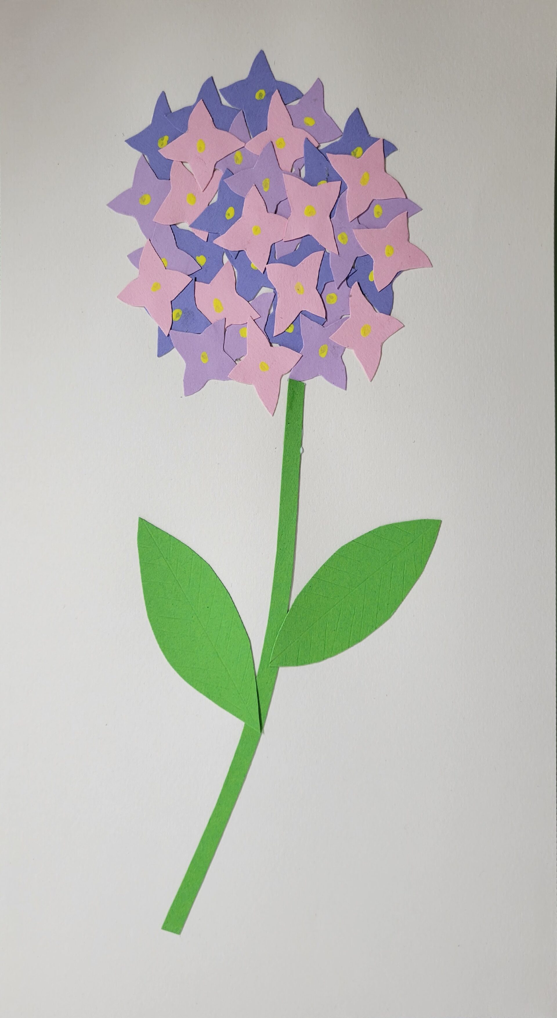 Papier- Hortensia