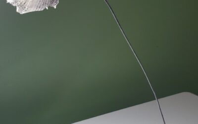 Rose en papier journal