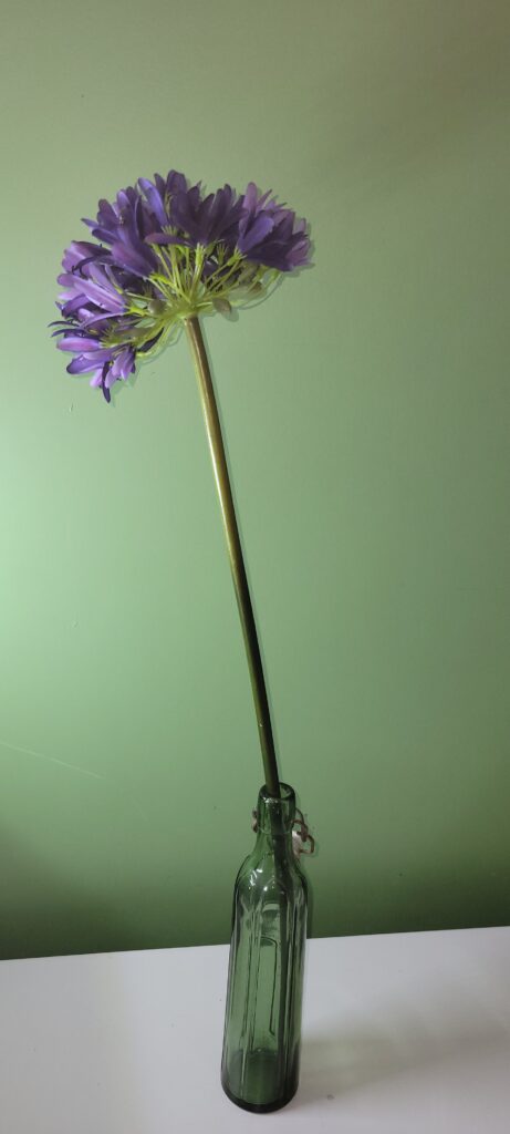 Art floral- L'Agapanthe