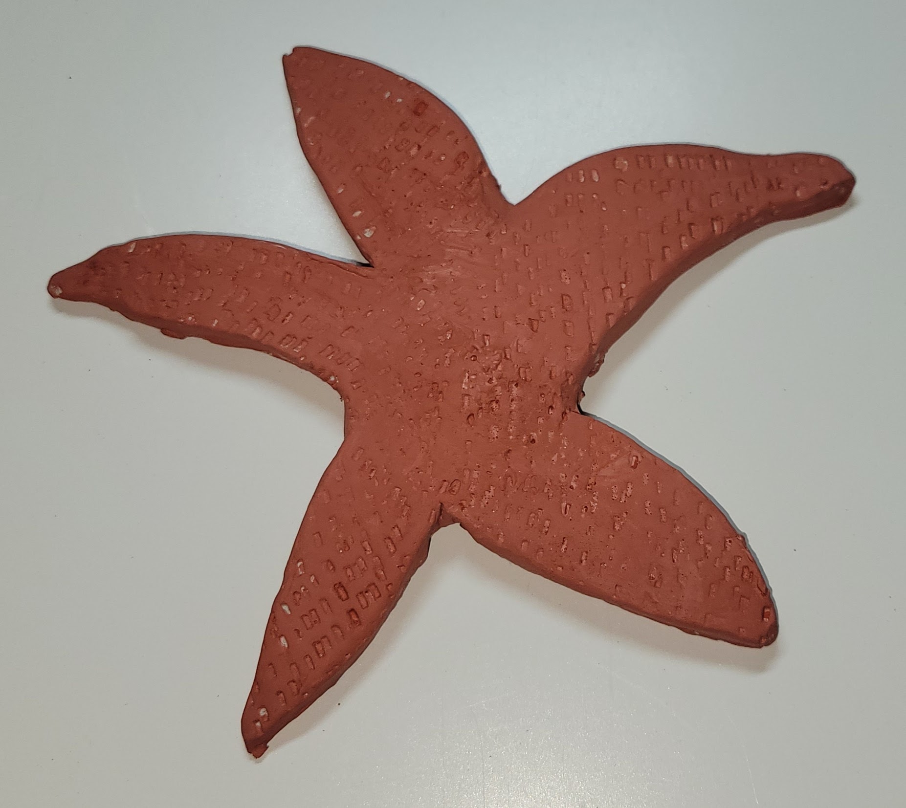 Modelage- étoile de mer