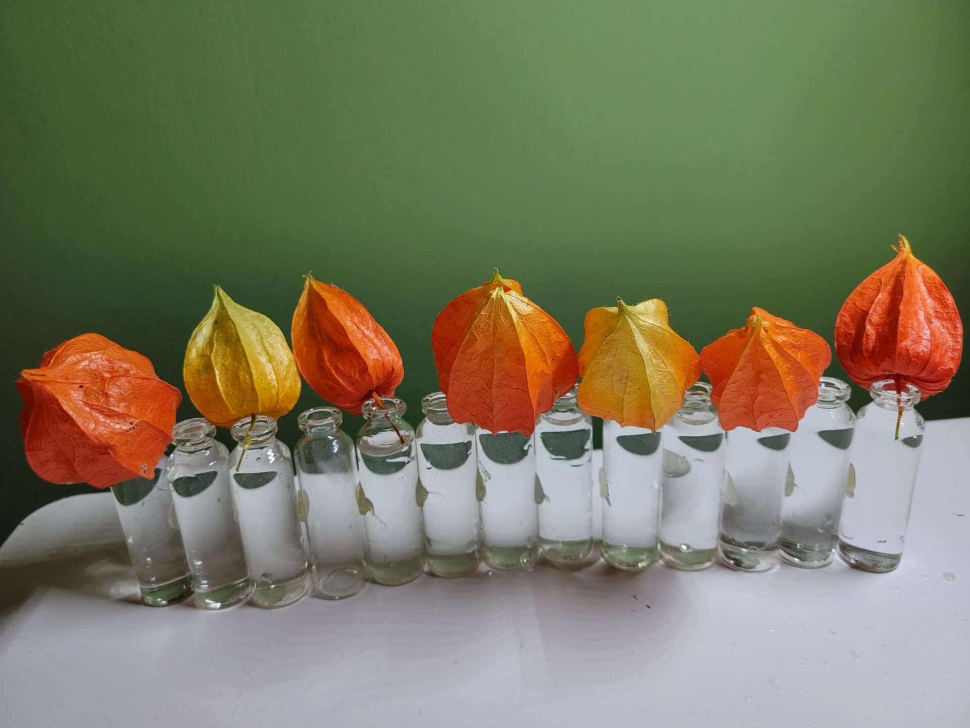 Art floral- mini vases et physalis