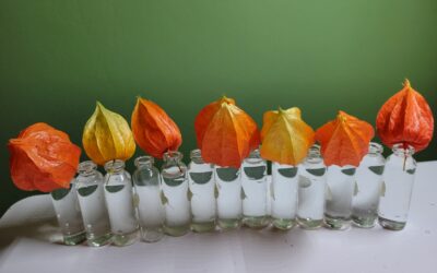 Mini vases physalis
