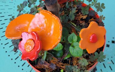 Formes d&rsquo;automne